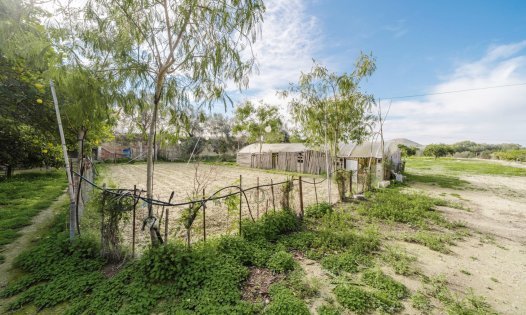 Återförsäljning - Hus på landet -
Guardamar del Segura