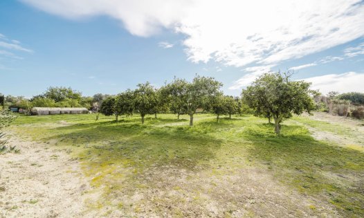 Återförsäljning - Hus på landet -
Guardamar del Segura