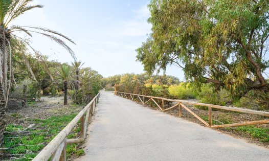 Återförsäljning - Hus på landet -
Guardamar del Segura