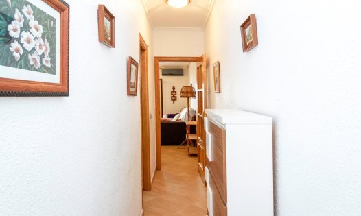 Resale - Apartments -
Torrevieja - Centro - Torrevieja