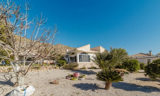 Segunda mano - Villas -
Fortuna