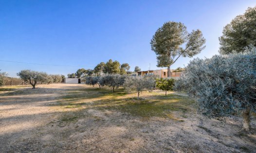 Herverkoop - Percelen -
Pilar de la Horadada - Pinar de Campoverde