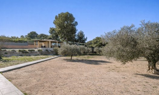 Herverkoop - Percelen -
Pilar de la Horadada - Pinar de Campoverde