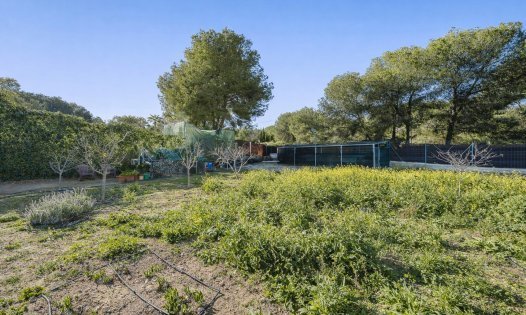 Herverkoop - Percelen -
Pilar de la Horadada - Pinar de Campoverde