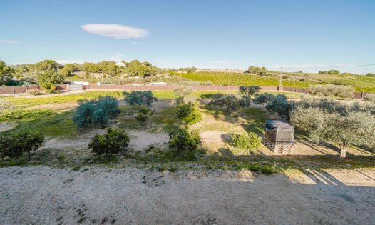 Herverkoop - Percelen -
Pilar de la Horadada - Pinar de Campoverde