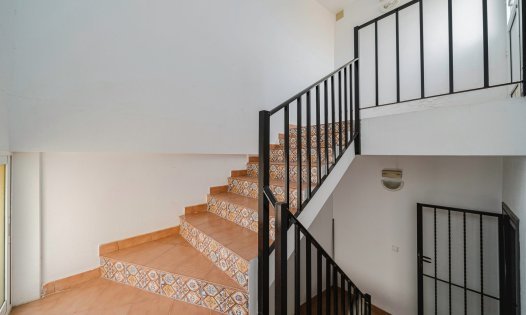 Segunda mano - Apartamentos -
San Miguel de Salinas