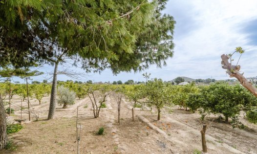 Resale - Villas -
Rojales