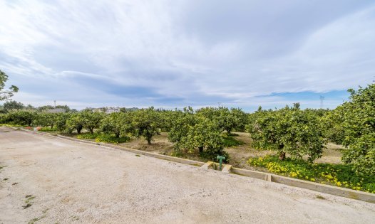 Resale - Villas -
Rojales