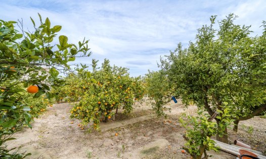 Resale - Villas -
Rojales