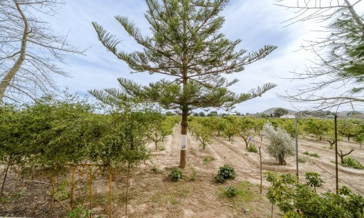 Resale - Villas -
Rojales