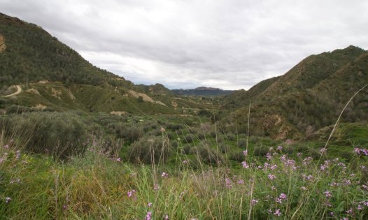 Revente - Parcelles -
Murcia - GEA Y TRUYOLS