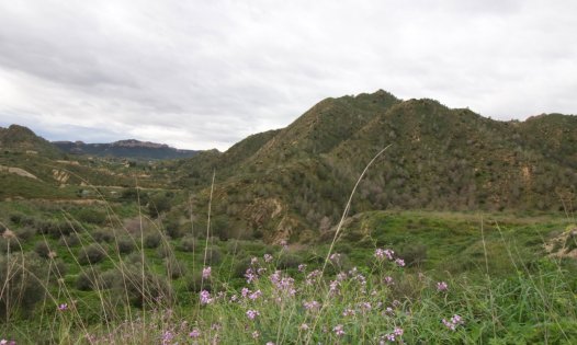 Revente - Parcelles -
Murcia - GEA Y TRUYOLS