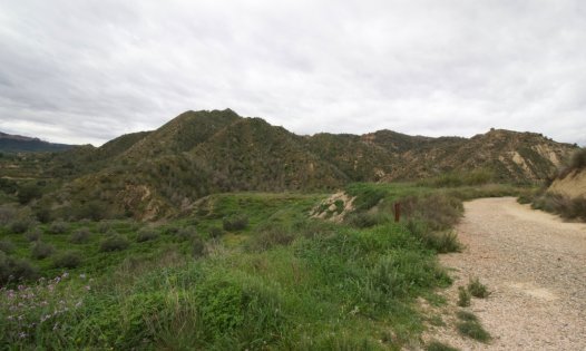 Revente - Parcelles -
Murcia - GEA Y TRUYOLS