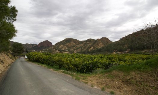 Revente - Parcelles -
Murcia - GEA Y TRUYOLS