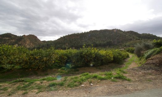 Revente - Parcelles -
Murcia - GEA Y TRUYOLS