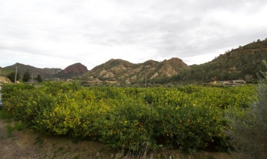 Revente - Parcelles -
Murcia - GEA Y TRUYOLS