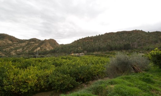 Revente - Parcelles -
Murcia - GEA Y TRUYOLS