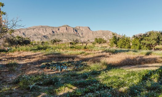 Resale - Villas -
Orihuela