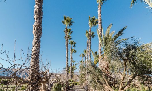 Resale - Villas -
Orihuela