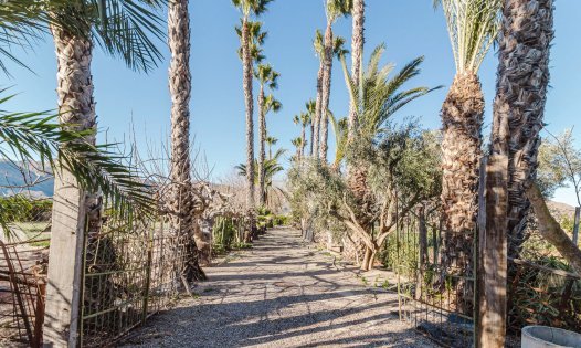 Resale - Villas -
Orihuela