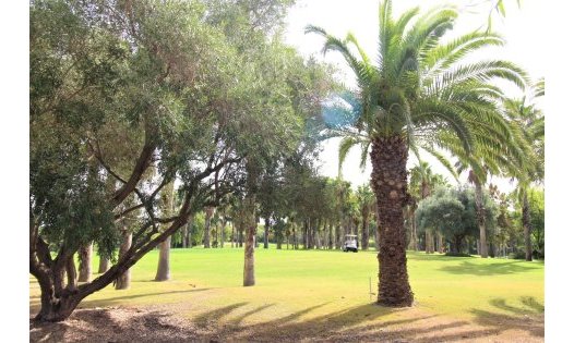 Wiederverkauf - Luxusvillen -
Orihuela Costa - Villamartin