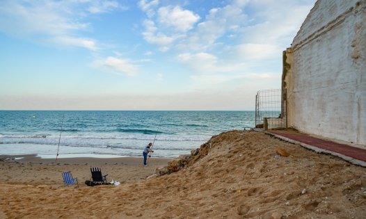 Segunda mano - Apartamentos -
Guardamar del Segura