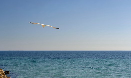 Återförsäljning - Takvåningar -
San Pedro del Pinatar