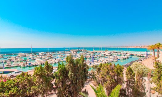 Segunda mano - Bungalows -
Pilar de la Horadada