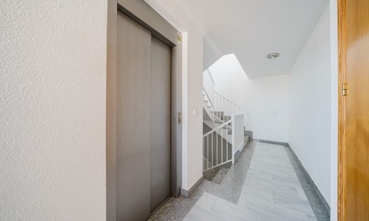 Återförsäljning - Lägenheter -
Alcázares, Los - Centro - Los Alcázares