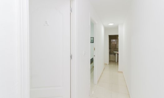 Segunda mano - Apartamentos -
Pilar de la Horadada