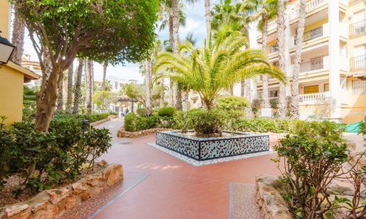 Herverkoop - Appartementen -
Torrevieja