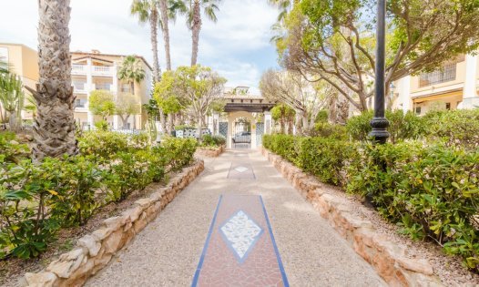 Herverkoop - Appartementen -
Torrevieja