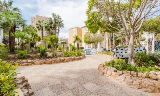 Herverkoop - Appartementen -
Torrevieja