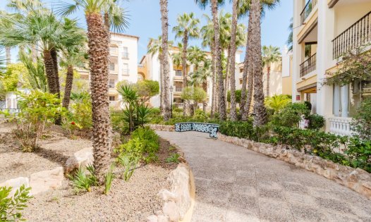 Herverkoop - Appartementen -
Torrevieja