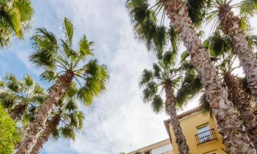 Herverkoop - Appartementen -
Torrevieja