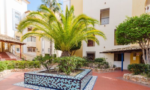 Herverkoop - Appartementen -
Torrevieja