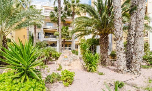 Herverkoop - Appartementen -
Torrevieja