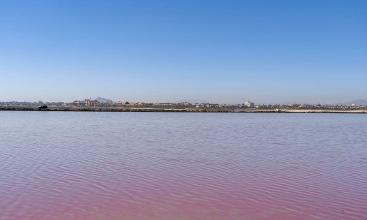 Resale - Villas -
San Pedro del Pinatar - Lo Pag&aacute;n