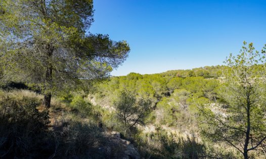 Resale - Villas -
Pilar de la Horadada - Pinar de Campoverde