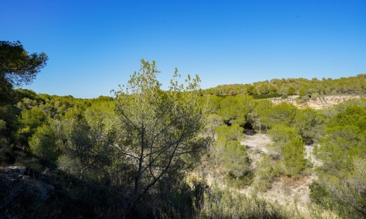 Resale - Villas -
Pilar de la Horadada - Pinar de Campoverde