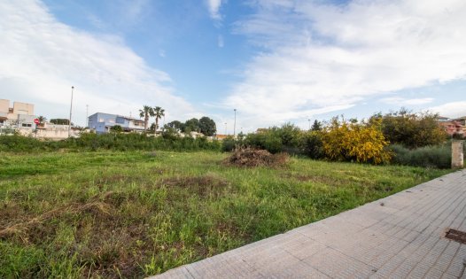 Segunda mano - Parcelas -
Los Urrutias - EL CARMOLI