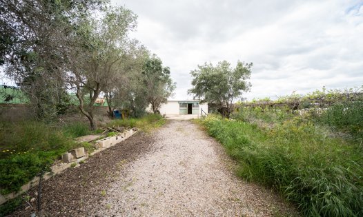 Herverkoop - Percelen -
Pilar de la Horadada - Pinar de Campoverde