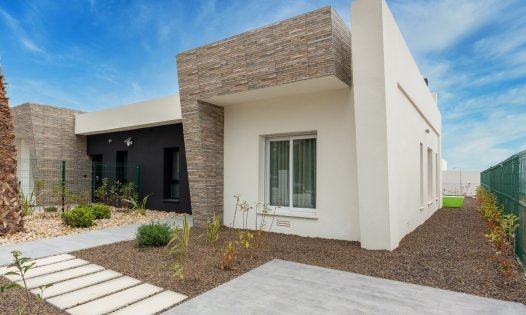 Segunda mano - Casas Adosadas -
Algorfa