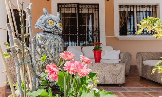 Wiederverkauf - Luxusvillen -
Torrevieja - La Mata - Torrevieja