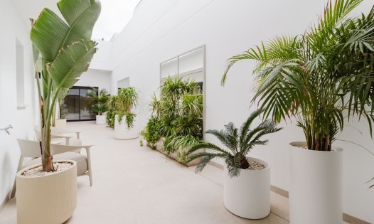 Resale - Luxury Villas -
Rojales - Ciudad Quesada