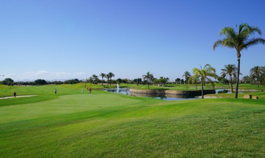 Wiederverkauf - Reihenhäuser -
San Javier - Roda Golf Resort