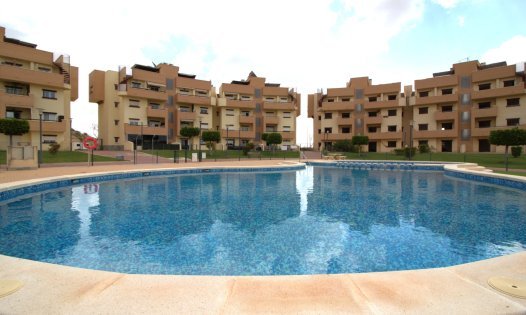 Segunda mano - Apartamentos -
Murcia - GEA Y TRUYOLS
