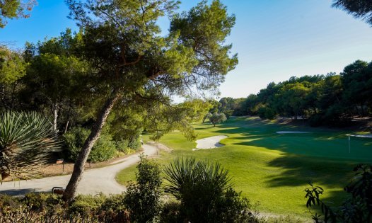 Resale - Bungalows -
Villamartin