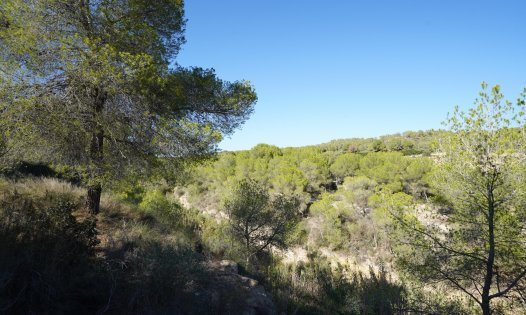 Korttidsuthyrning - Villor -
Pilar de la Horadada - Pinar de Campoverde