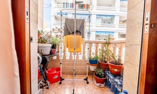 Återförsäljning - Lägenheter -
Torrevieja - Playa del Cura - Torrevieja